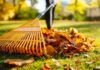 Autumn Cleaning- Here Is What You Need To Know! Autumn Cleaning