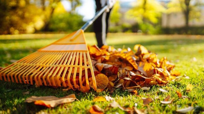 Autumn Cleaning