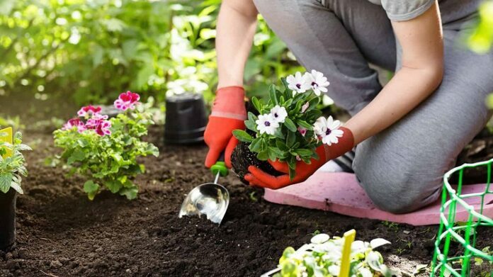 Improve Your Garden