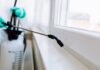 7 golden rules for hiring professional pest control 7 golden rules for hiring professional pest control