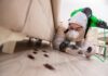 Do’s And Don’ts of Pest Control. Pest Control