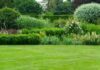 7 Areas of Your Garden You Should Never Neglect Garden