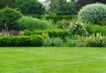 7 Areas of Your Garden You Should Never Neglect Garden