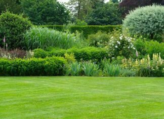7 Areas of Your Garden You Should Never Neglect Garden