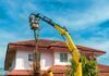 The Ultimate Guide to Tree Service: Expert Advice Tree Service