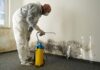What To Do If Your Newly Purchased Home Has Mould Issues mould removal