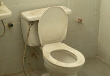 Do You Know Cleaning Hacks Can Damage Toilets? Here Is How Damage Toilets