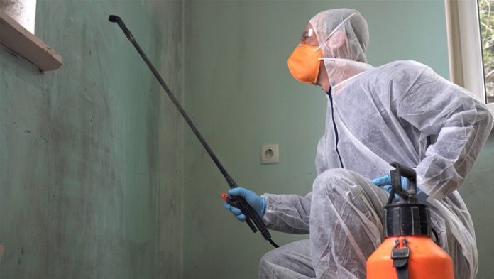 Mold Remediation