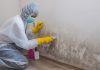 The Ultimate Guide to Mold Remediation in Georgia Mold Remediation