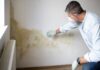 Eradicating Mold: A Comprehensive Guide to Effective Remediation in Lake Charles Eradicating Mold