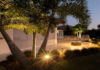 Illuminating Your Outdoor Oasis: Top Backyard Decoration Ideas with Light in 2024 Backyard Decoration