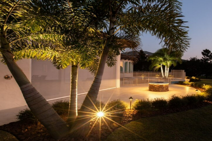 Backyard Decoration