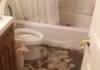The Role of Professional Sewage Cleaners in Improving Health and Environmental Safety Sewage Cleaners