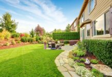 The Complete Guide to Lawn Aeration Services: Improve Your Yard’s Health and Beauty Yard's