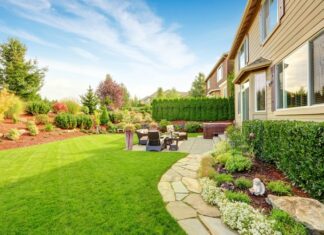 The Complete Guide to Lawn Aeration Services: Improve Your Yard’s Health and Beauty Yard's