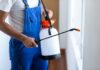 Termite Prevention Tips: How An Orange County Termite Inspection Can Save Your Home? Termite Prevention