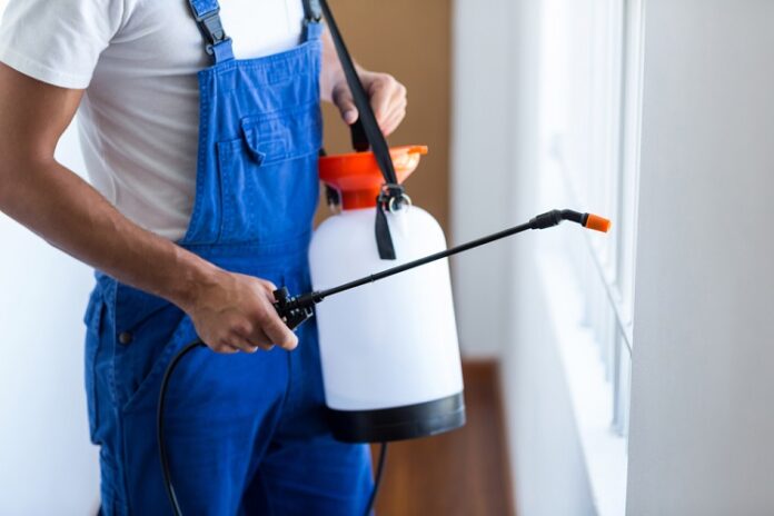 Termite Prevention