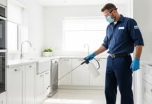 All About Changing Pest Issues in Burke, VA Across Seasons Pest Issues